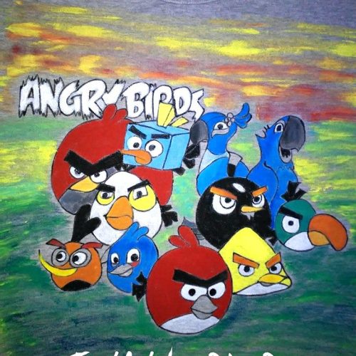 Μπλούζα παιδική ,ζωγραφισμένη,Angry Birds